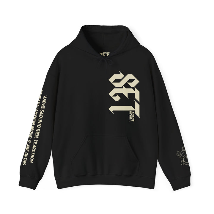 "NOT OF THIS WORLD" HOODIE